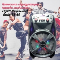 Преносима акумулаторна караоке тонколона FEIYIPU Professional Audio ES-86