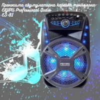 Преносима акумулаторна караоке тонколона FEIYIPU Professional Audio ES-81 с микрофон