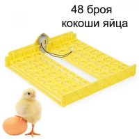Поставка за кокоши яйца с мотор 48 бр.