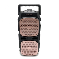 Портативна Wireless колона със супер бас и два броя усилватели KTS-1076